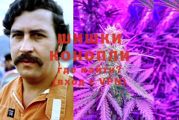 прущая мука Арсеньев
