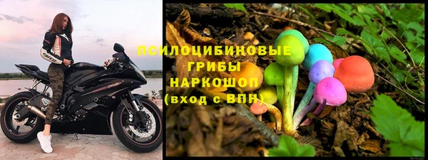 прущая мука Арсеньев