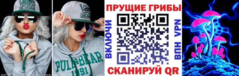 Купить где  Городовиковск  Галлюциногенные грибы прущие грибы 