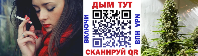 Купить закладки  Городовиковск  Шишки марихуана сатива 